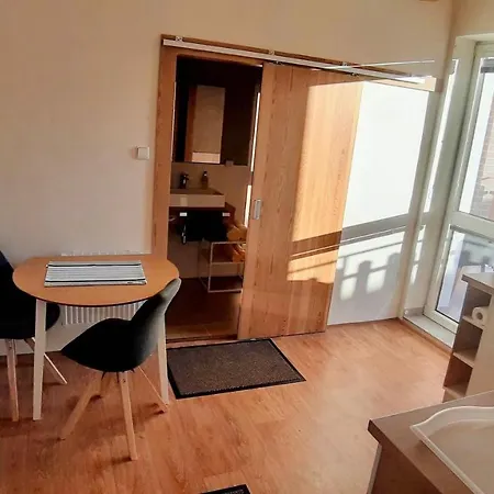 Apartment Three Frantiskovy Lazne