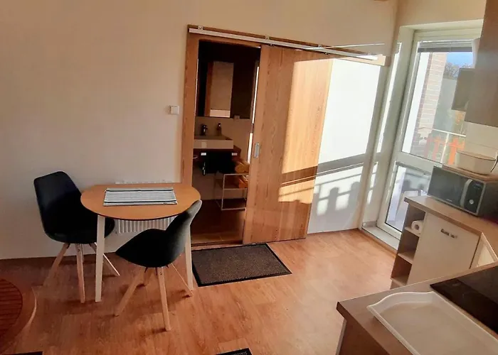 Apartment Three Františkovy Lázně